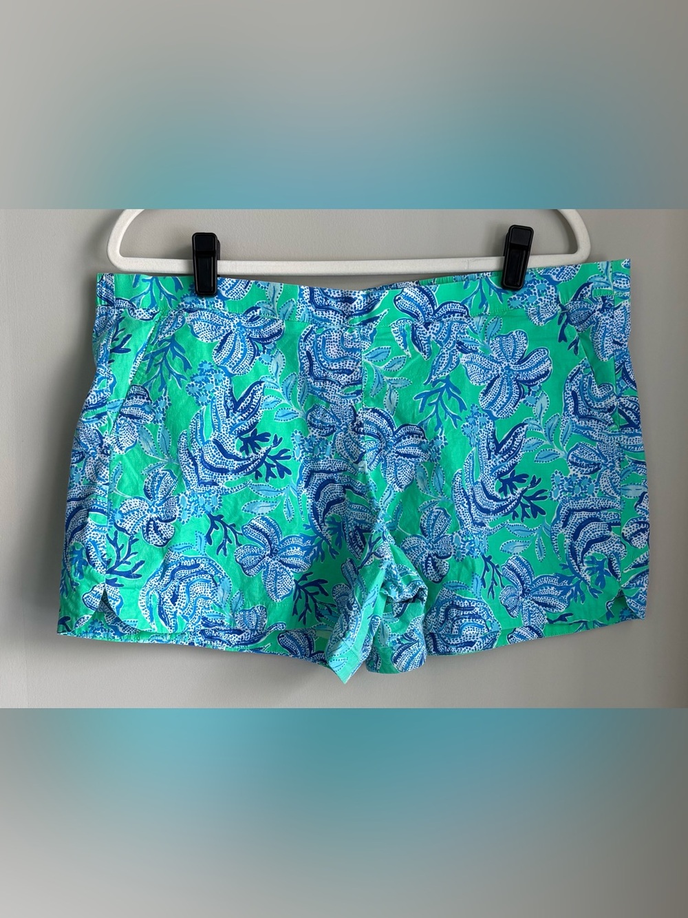 LILLY PULITZER Ocean View Shorts, Green and Blue Keepin It Reel print Size XL